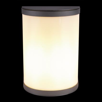 Globo 32128A - Уличный настенный светильник  SEGGA 1xE27/60W/230V IP44