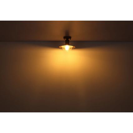 Globo 3274DW - Потолочный светильник LINDA 1xE27/15W/230V