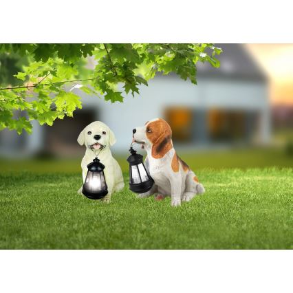 Globo - сонячний LED світильник LED/0,06W/3V пес IP44 600 mAh