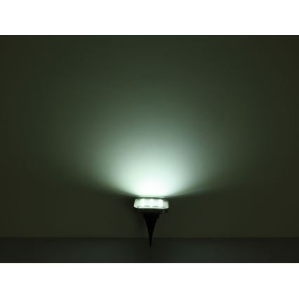 Globo - НАБОР 2x Светодиодный светильник на солнечной батарее LED/0,8W/1,2V IP44 300 mAh