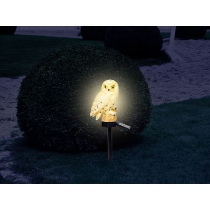 Globo - Світлодіодний світильник на сонячній батареї LED/0,06W/3V IP44 сова