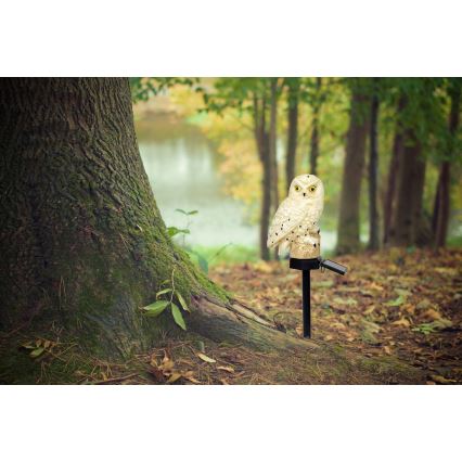 Globo - Світлодіодний світильник на сонячній батареї LED/0,06W/3V IP44 сова