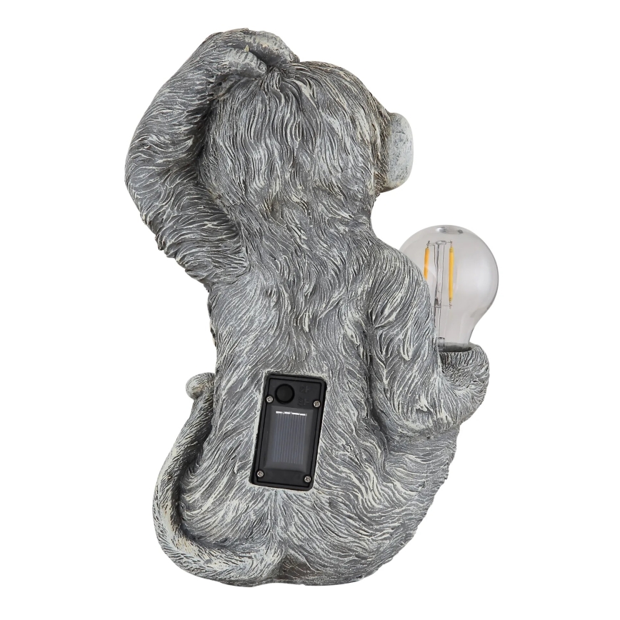 Globo - LED На сонячній батареї прикраса LED/0,02W/3V IP44 мавпа