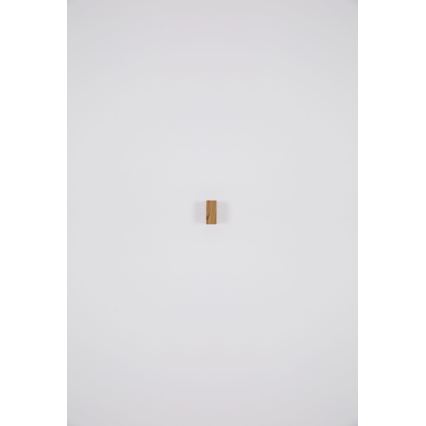 Globo - Вуличний настінний світильник 2xGU10/35W/230V IP44