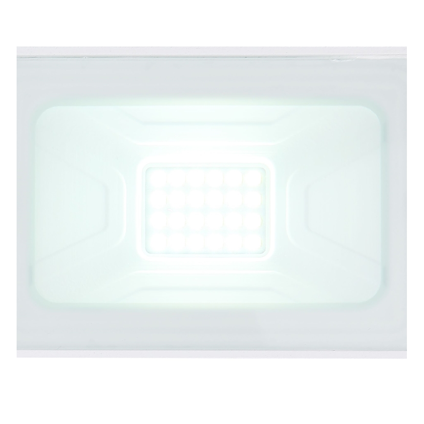 Globo - LED Прожектор LED/20W/230V IP65