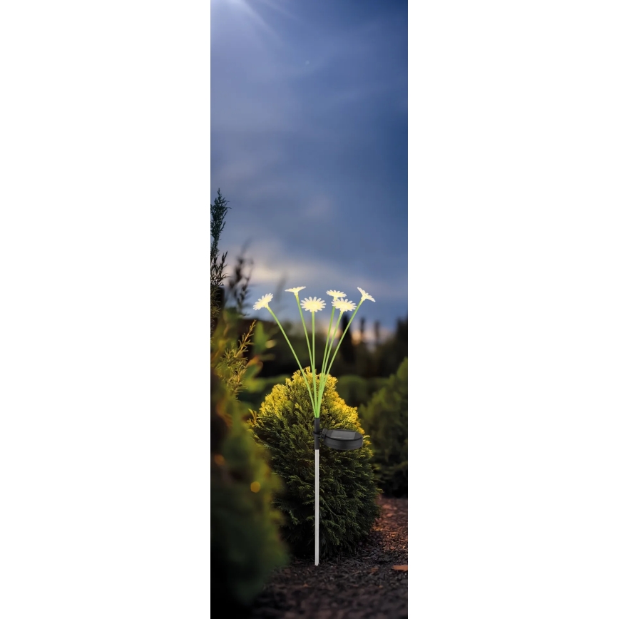 Globo - сонячний LED-світильник 6xLED/3V IP44 600 mAh квітка
