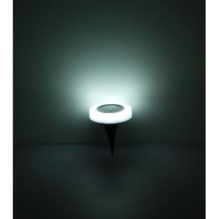 Globo - НАБОР 2x Светодиодный светильник на солнечной батарее LED/0,8W/3V 3200K IP44