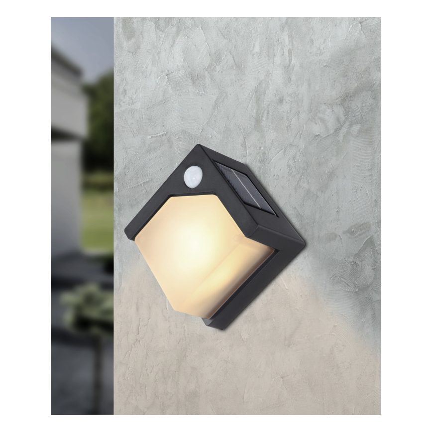 Globo - Світлодіодний світильник на сонячній батареї з датчиком LED/0,48W/3V IP44 600 mAh