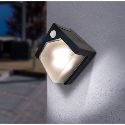 Globo - Світлодіодний світильник на сонячній батареї з датчиком LED/0,48W/3V IP44 600 mAh