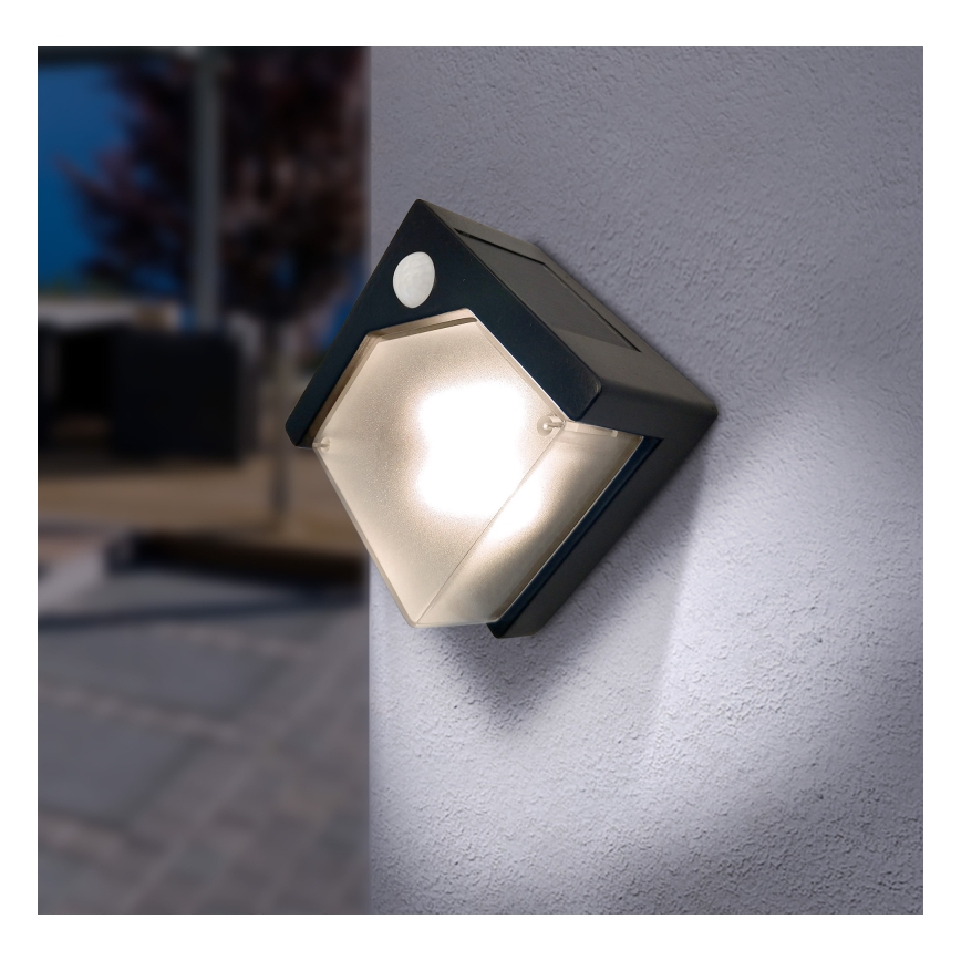 Globo - Світлодіодний світильник на сонячній батареї з датчиком LED/0,48W/3V IP44 600 mAh