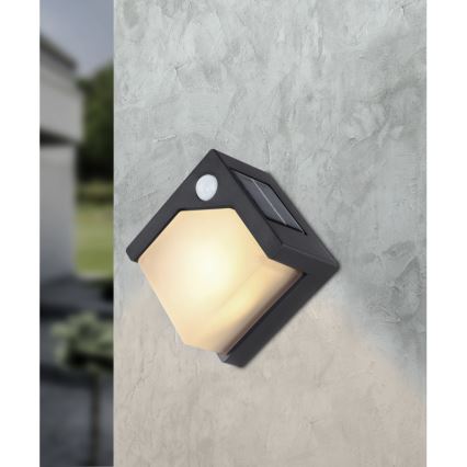 Globo - Світлодіодний світильник на сонячній батареї з датчиком LED/0,48W/3V IP44