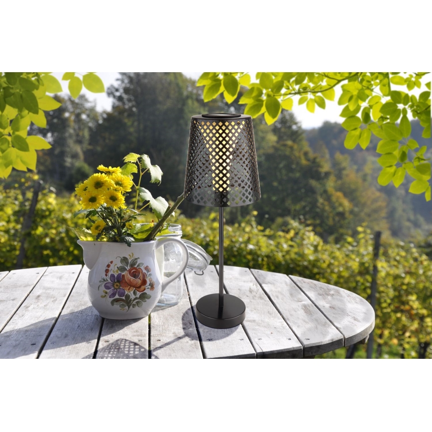 Globo - Светодиодный светильник на солнечной батарее LED/0,06W/3V IP44