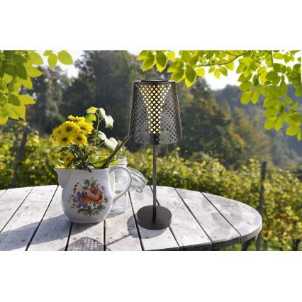 Globo - Світлодіодний світильник на сонячній батареї LED/0,06W/3V IP44