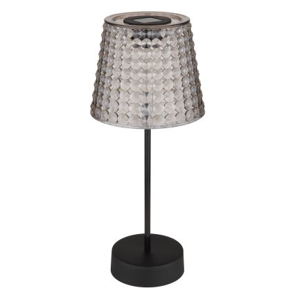 Globo 36634-2S - НАБІР 2x Світлодіодний світильник на сонячній батареї SOLAR LED/0,06W/3V IP44 40 mAh сірий