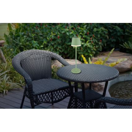 Globo - Светодиодный светильник на солнечной батарее LED/0,06W/3V 3000K IP44 1200 mAh зеленый