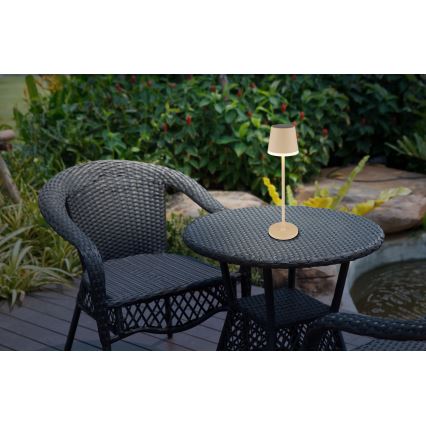 Globo - Светодиодный светильник на солнечной батарее LED/0,6W/3V 3000K IP44 1200 mAh бежевый