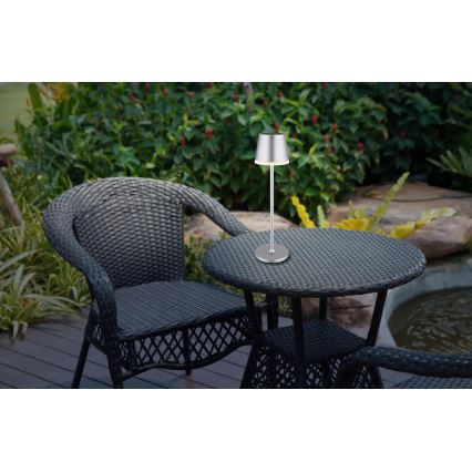 Globo - Светодиодный светильник на солнечной батарее LED/0,6W/3V 3000K IP44 1200 mAh матовый хром