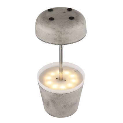 Globo - Світлодіодна сонячна лампа 10xLED/0,06W/3V IP44 800 mAh сіра