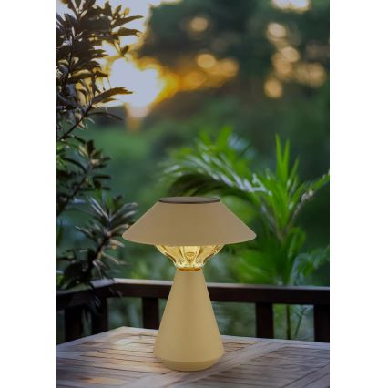 Globo - Світлодіодна сонячна лампа 10xLED/0,06W/1,2V IP44 600 mAh коричнева