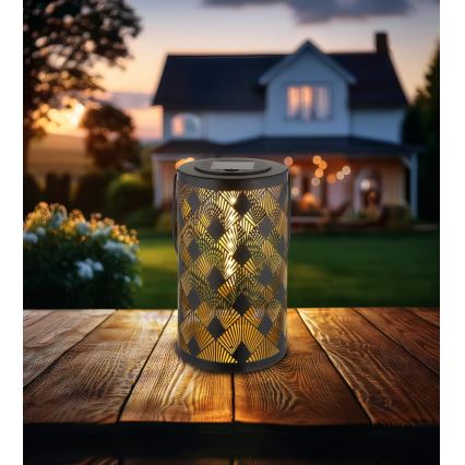 Globo - Светодиодный фонарь на солнечной батарее LED/0,5W/3V IP44