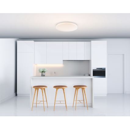 Globo - светодиодный потолочный светильник LED/20W/230V