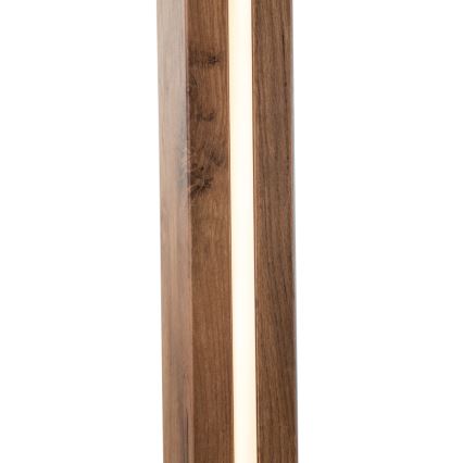 Globo - Світлодіодний торшер LED/17W/230V + 1xE27/40W