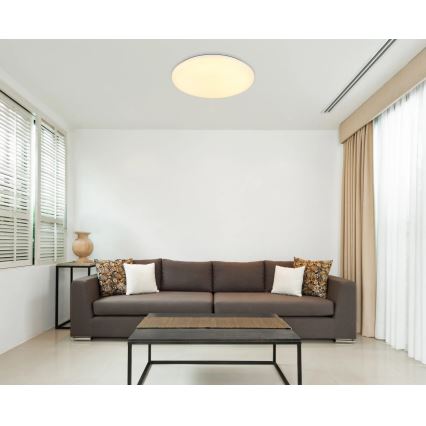 Globo - Стельовий LED світильник LED/24W/230V діаметр 49,5 см білий