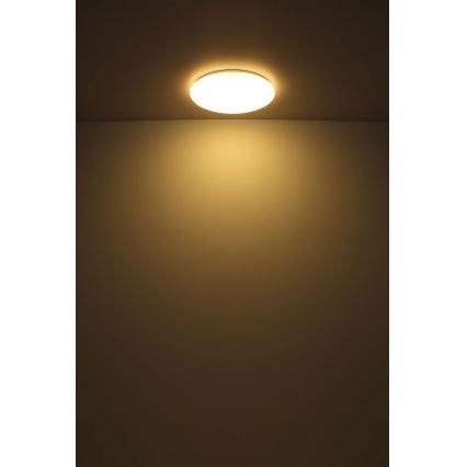 Globo - Стельовий LED світильник LED/24W/230V діаметр 49,5 см білий