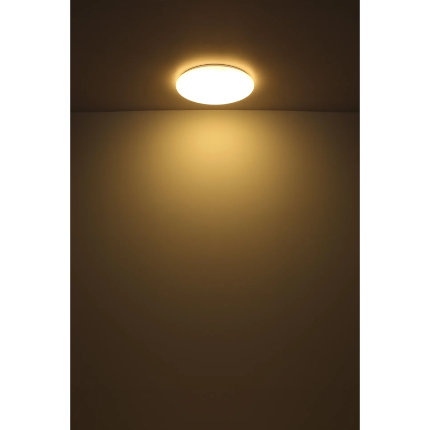 Globo - Стельовий LED світильник LED/24W/230V діаметр 49,5 см білий