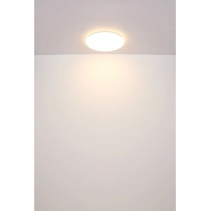 Globo - Стельовий LED світильник LED/24W/230V діаметр 49,5 см білий