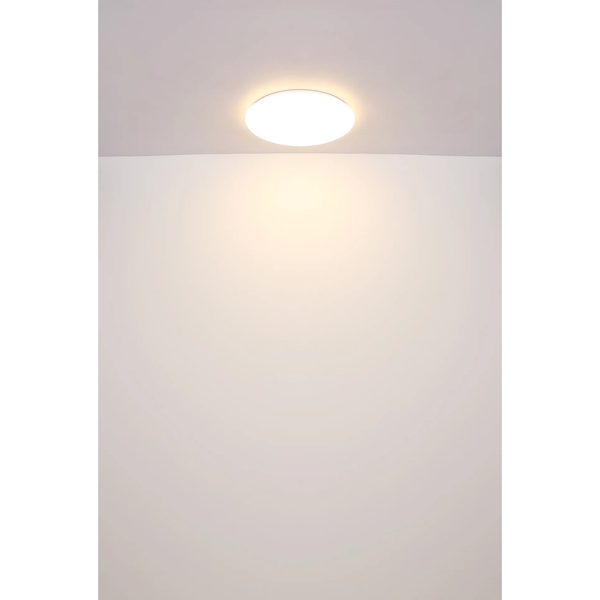 Globo - Стельовий LED світильник LED/24W/230V діаметр 49,5 см білий