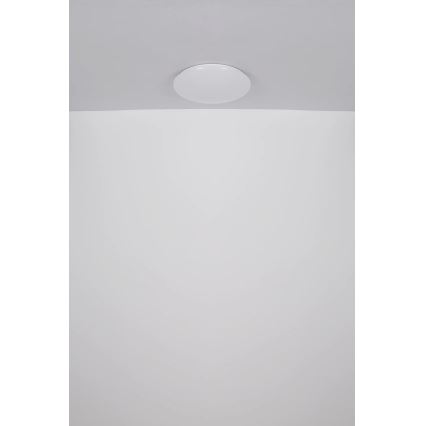 Globo - Стельовий LED світильник LED/24W/230V діаметр 49,5 см білий