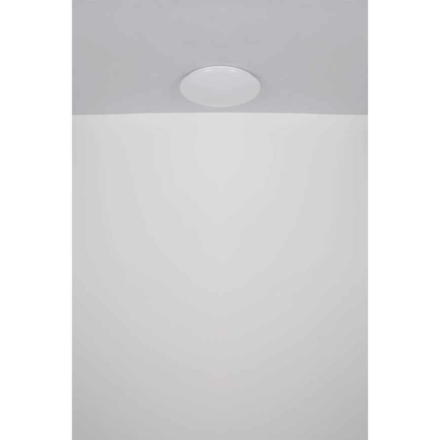 Globo - Стельовий LED світильник LED/24W/230V діаметр 49,5 см білий