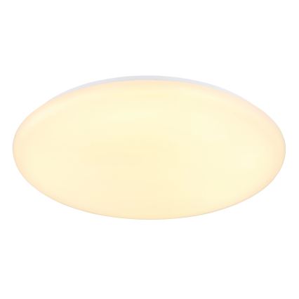 Globo - Стельовий LED світильник LED/24W/230V діаметр 49,5 см білий