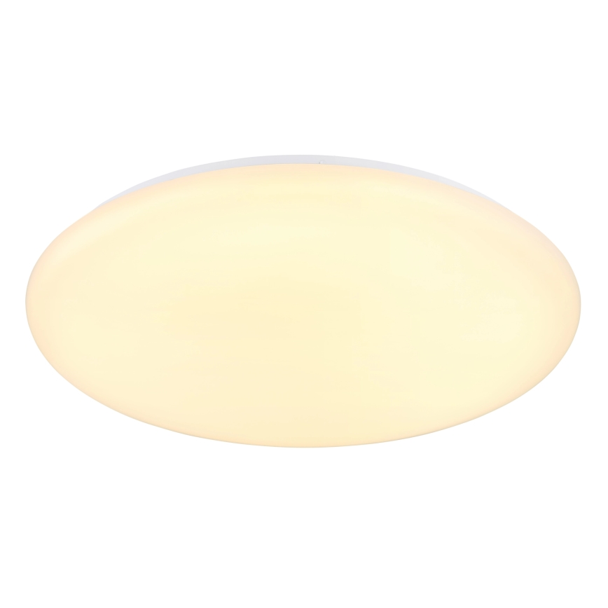 Globo - Стельовий LED світильник LED/24W/230V діаметр 49,5 см білий