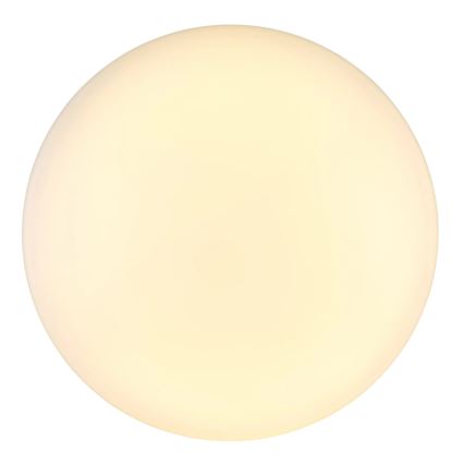 Globo - Стельовий LED світильник LED/24W/230V діаметр 49,5 см білий