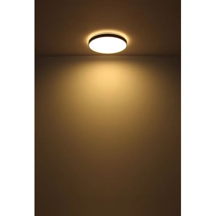 Globo - Стельовий LED світильник LED/24W/230V діаметр 48 см антрацит