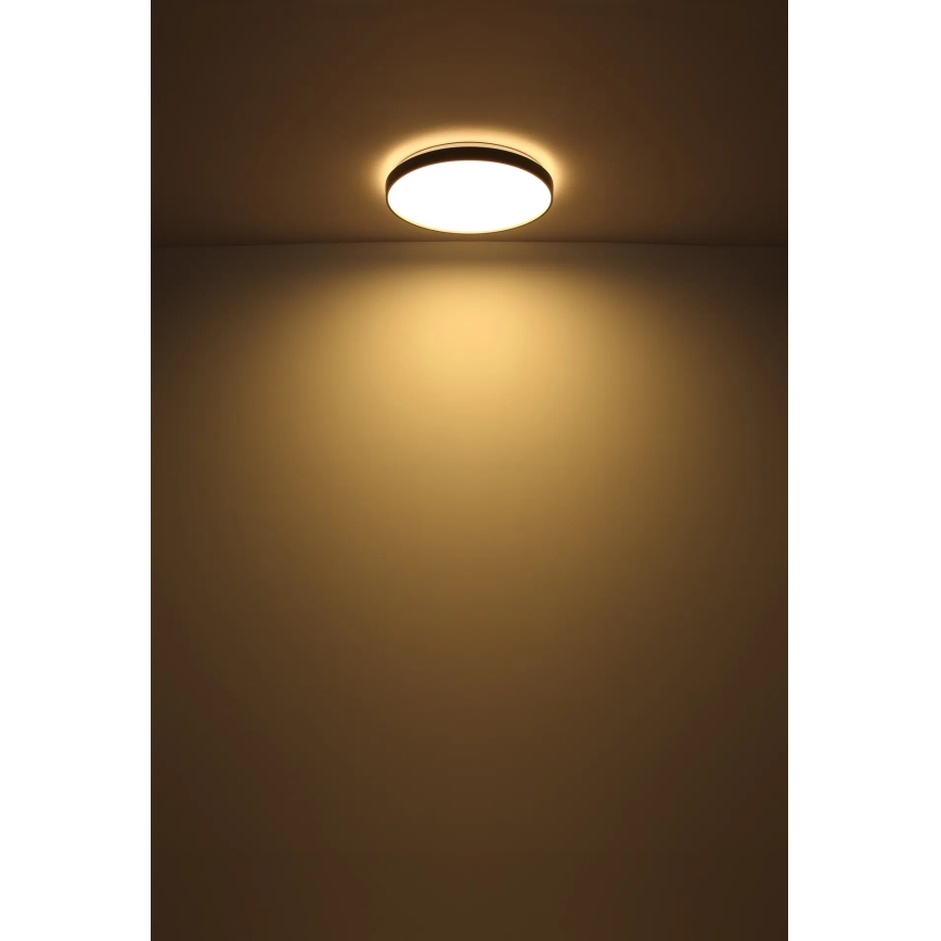Globo - Стельовий LED світильник LED/24W/230V діаметр 48 см антрацит