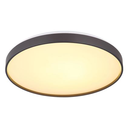 Globo - Стельовий LED світильник LED/24W/230V діаметр 48 см антрацит