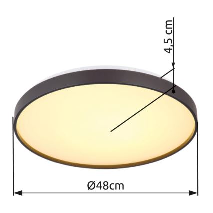 Globo - Светодиодный потолочный светильник LED/24W/230V диаметр 48 см антрацит