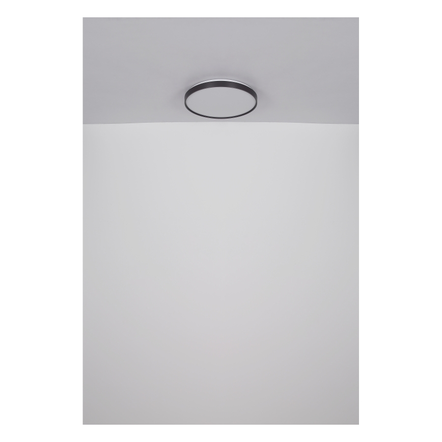 Globo - Стельовий LED світильник LED/24W/230V