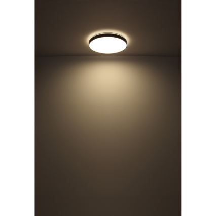 Globo - Светодиодный потолочный светильник LED/24W/230V