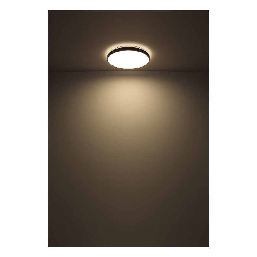 Globo - Светодиодный потолочный светильник LED/24W/230V