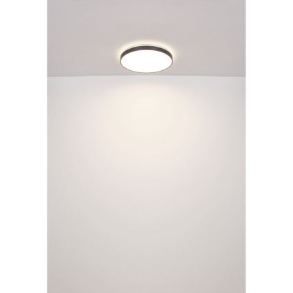 Globo - Светодиодный потолочный светильник LED/24W/230V