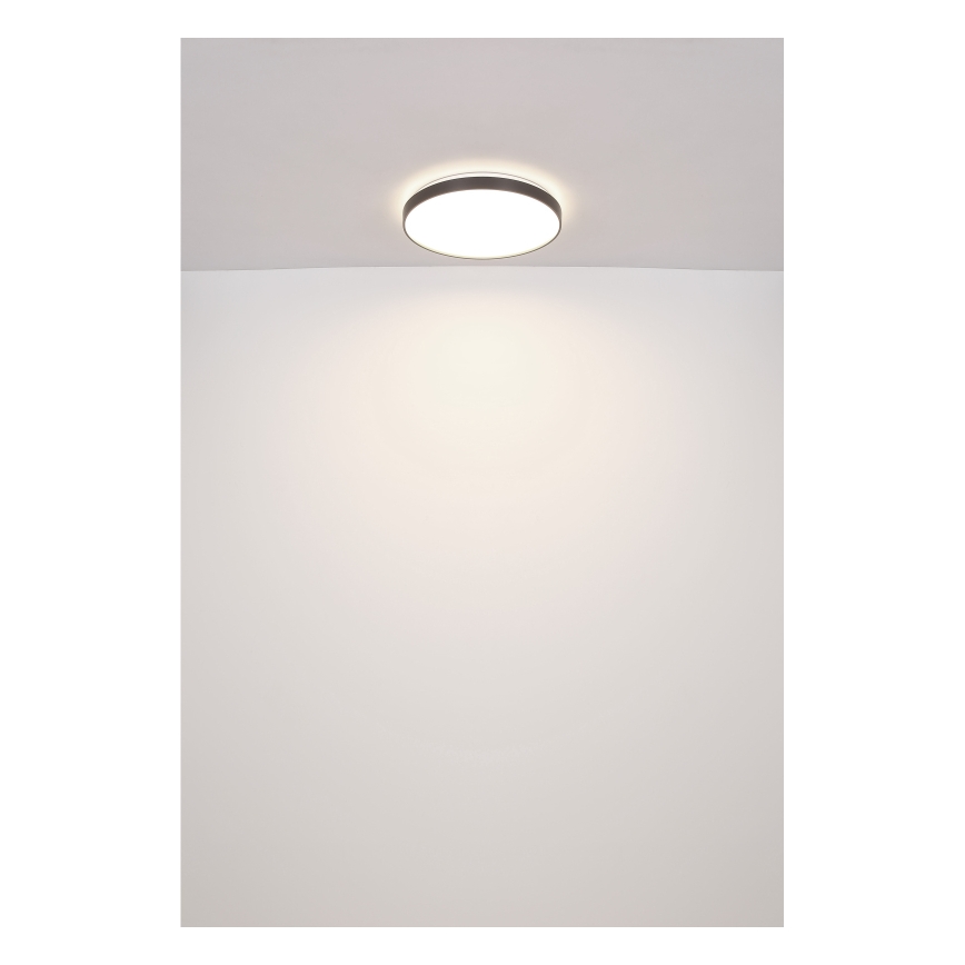 Globo - Светодиодный потолочный светильник LED/24W/230V