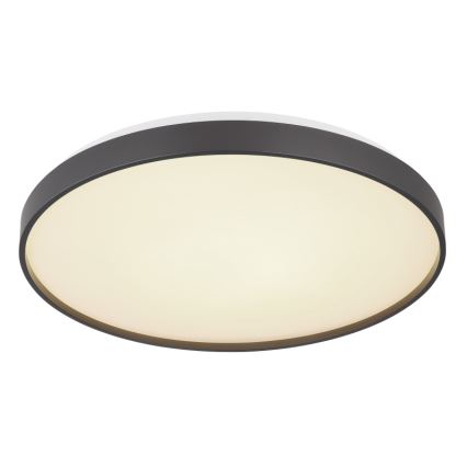 Globo - Светодиодный потолочный светильник LED/24W/230V