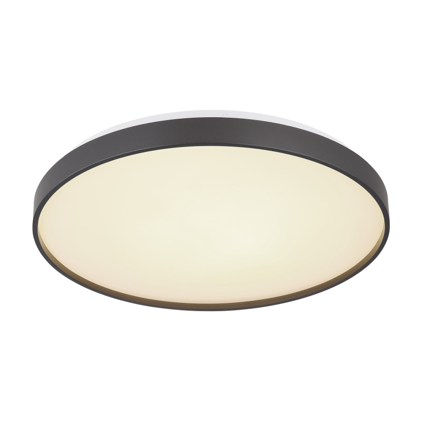 Globo - Светодиодный потолочный светильник LED/24W/230V