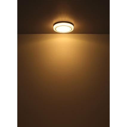Globo - Стельовий LED світильник LED/24W/230V діаметр 40 см 3000K білий