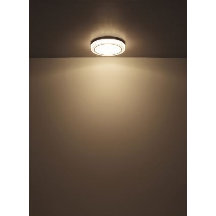 Globo - Стельовий LED світильник LED/24W/230V діаметр 40 см 4000K білий