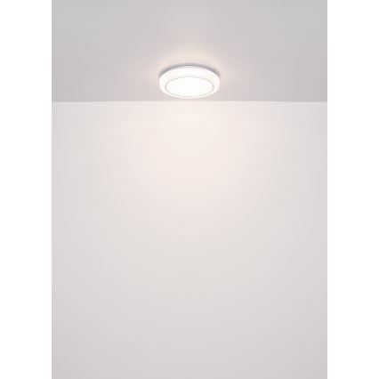 Globo - Стельовий LED світильник LED/24W/230V діаметр 40 см 4000K білий